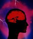 cerebro.jpg