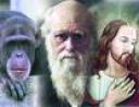 evolucion.jpg