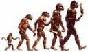 evolucion.jpg