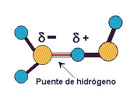 puente-de-hidrogeno2.JPG