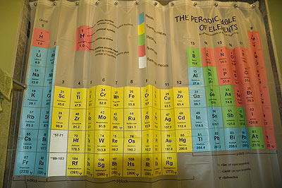 showercurtain_1.jpg